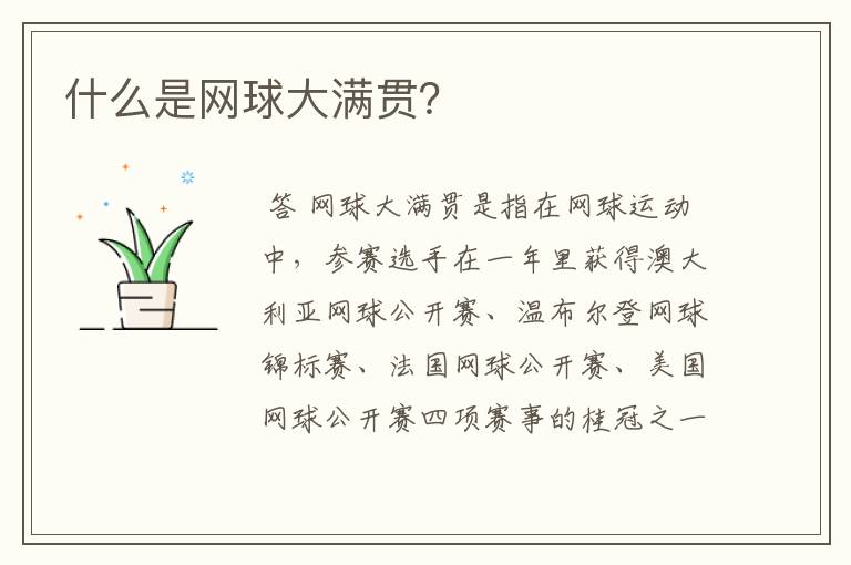 什么是网球大满贯?