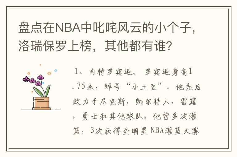 盘点在NBA中叱咤风云的小个子,洛瑞保罗上榜,其他都有谁?