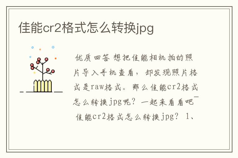 佳能cr2格式怎么转换jpg