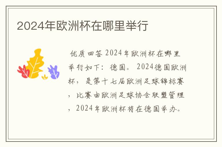 2024年欧洲杯在哪里举行