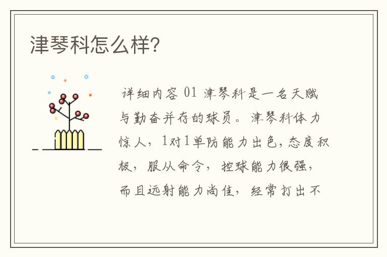 津琴科怎么样?