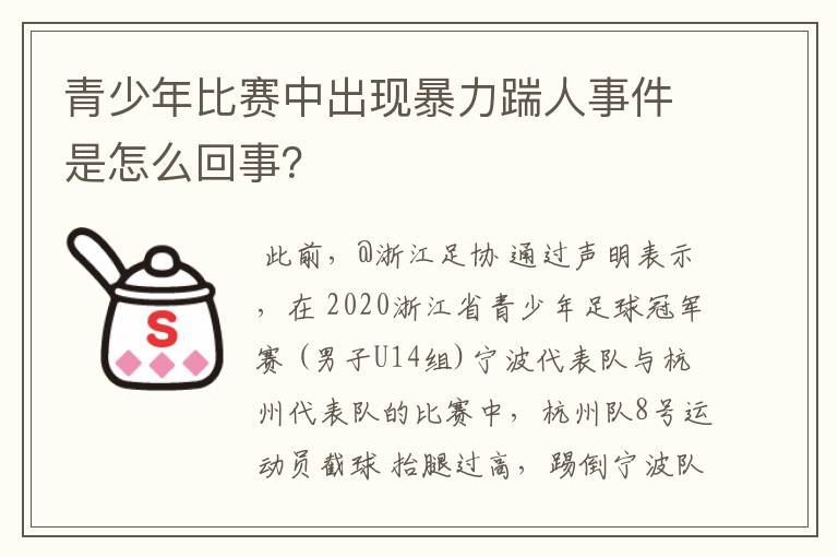 青少年比赛中出现暴力踹人事件是怎么回事?