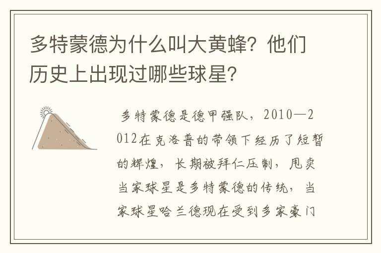 多特蒙德为什么叫大黄蜂?他们历史上出现过哪些球星?