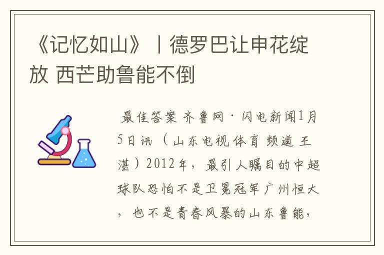 《记忆如山》丨德罗巴让申花绽放 西芒助鲁能不倒