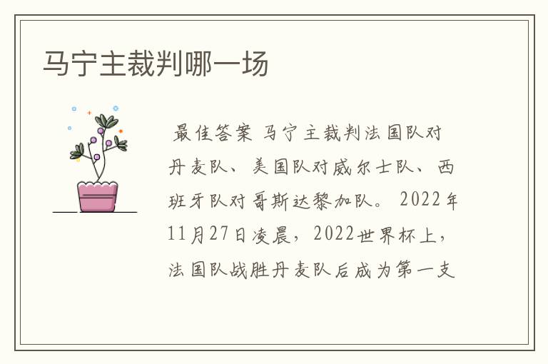 马宁主裁判哪一场