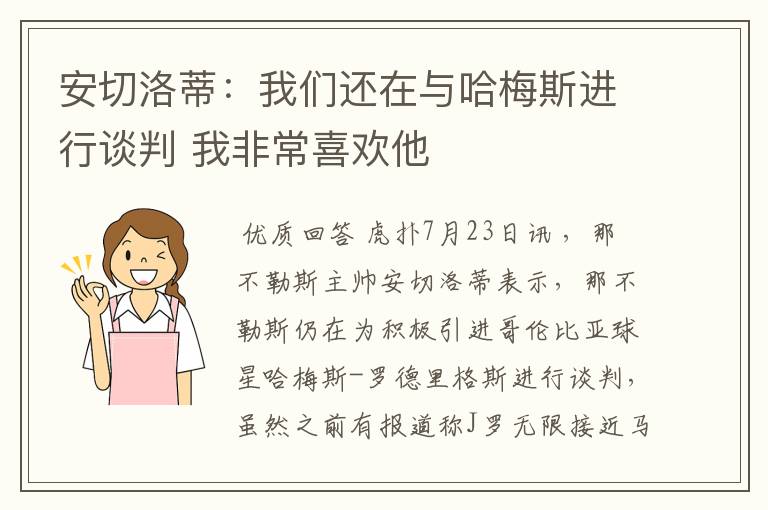 安切洛蒂:我们还在与哈梅斯进行谈判 我非常喜欢他