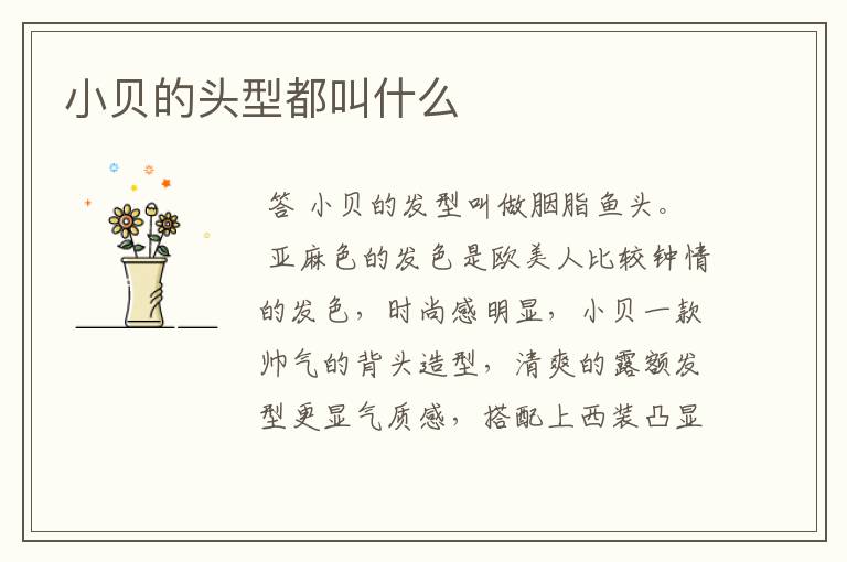 小贝的头型都叫什么