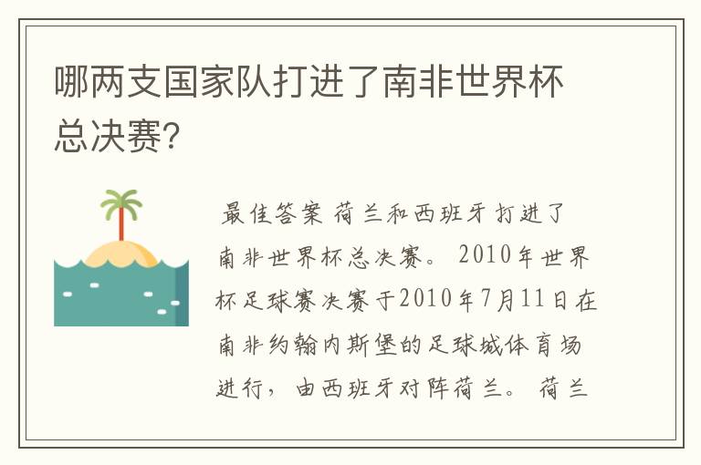 哪两支国家队打进了南非世界杯总决赛?
