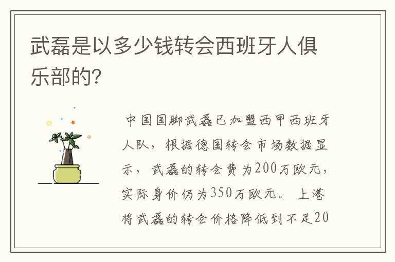 武磊是以多少钱转会西班牙人俱乐部的?
