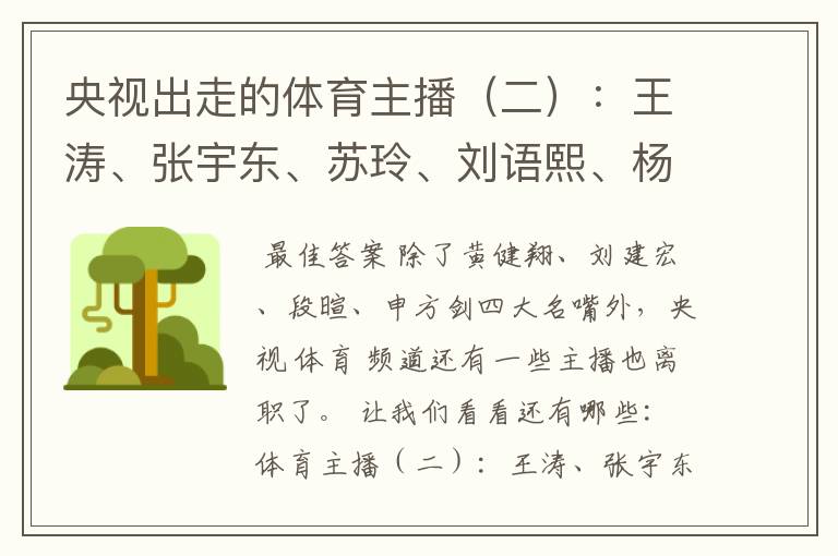 央视出走的体育主播(二):王涛、张宇东、苏玲、刘语熙、杨茗茗-