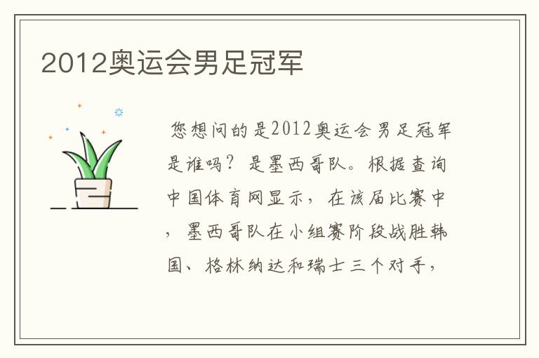 2012奥运会男足冠军
