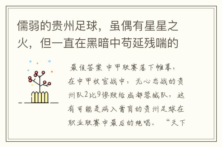 儒弱的贵州足球,虽偶有星星之火,但一直在黑暗中苟延残喘的前行