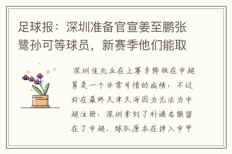 足球报:深圳准备官宣姜至鹏张鹭孙可等球员,新赛季他们能取得什么成绩?