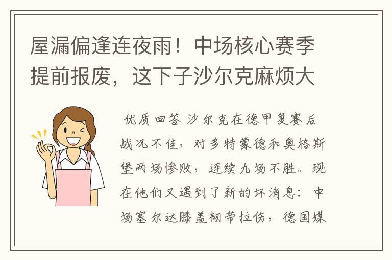 屋漏偏逢连夜雨!中场核心赛季提前报废,这下子沙尔克麻烦大了