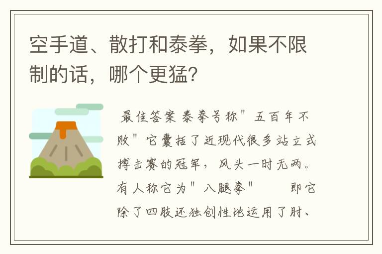 空手道、散打和泰拳,如果不限制的话,哪个更猛?