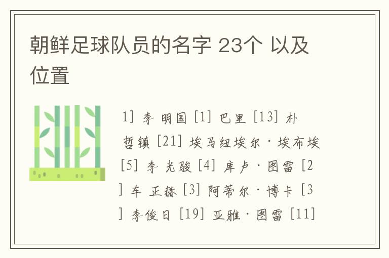 朝鲜足球队员的名字 23个 以及位置