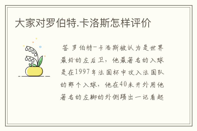 大家对罗伯特.卡洛斯怎样评价