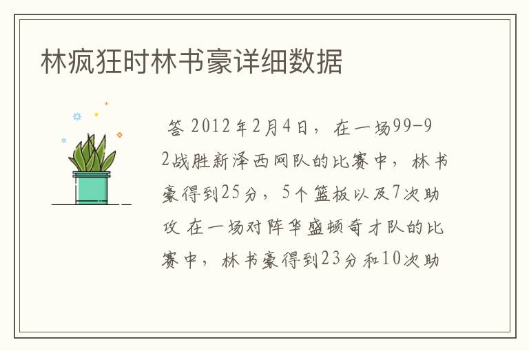 林疯狂时林书豪详细数据