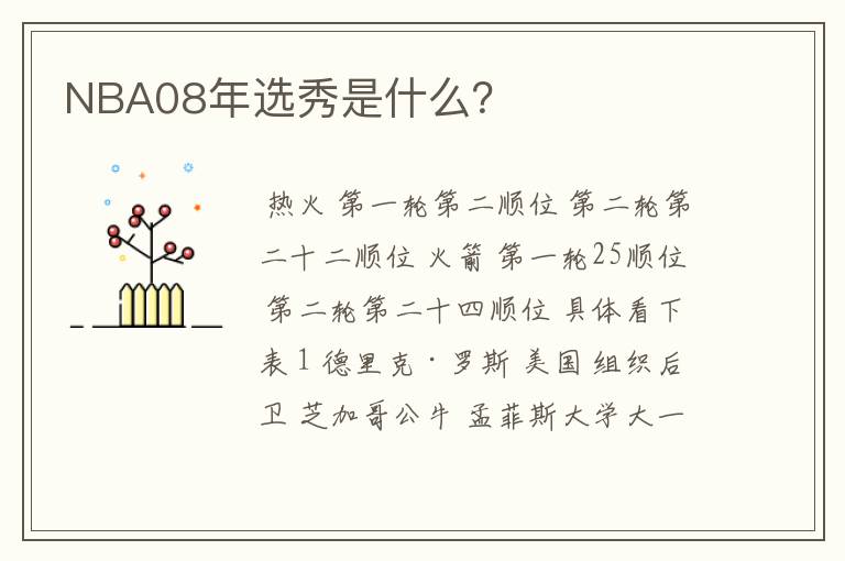 NBA08年选秀是什么?