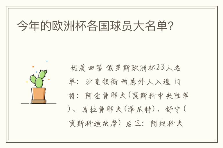 今年的欧洲杯各国球员大名单?
