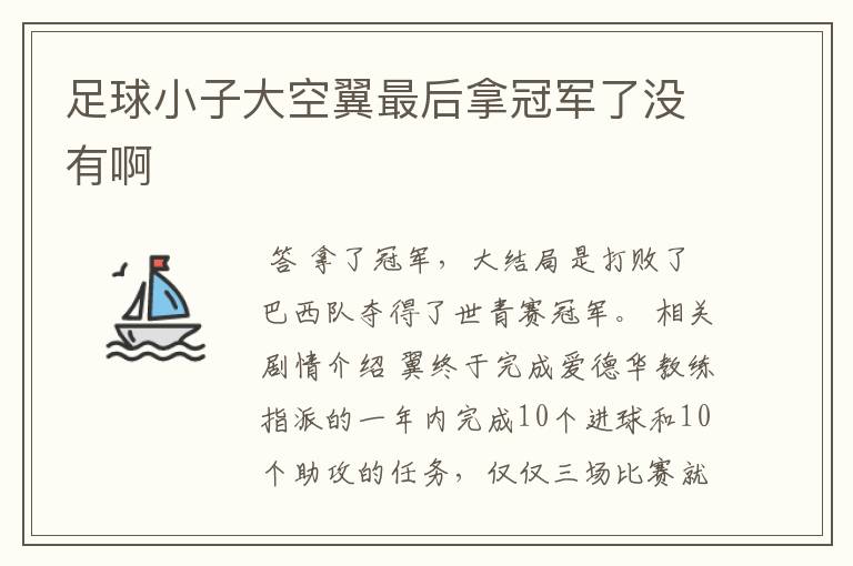 足球小子大空翼最后拿冠军了没有啊
