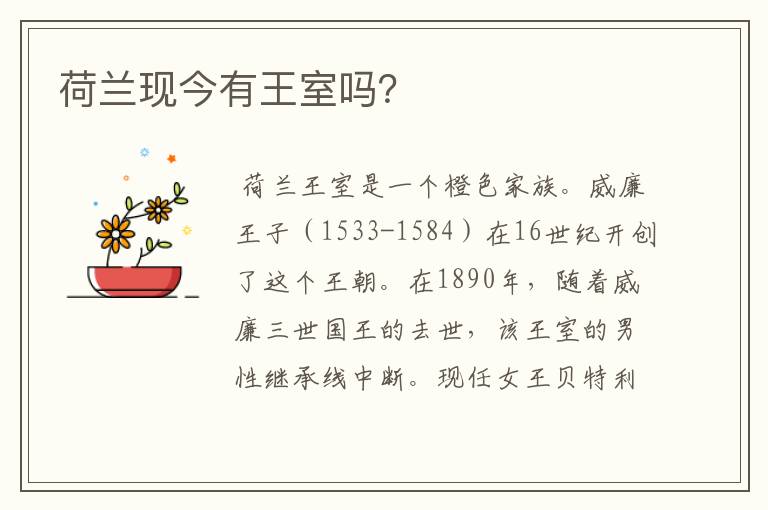 荷兰现今有王室吗?