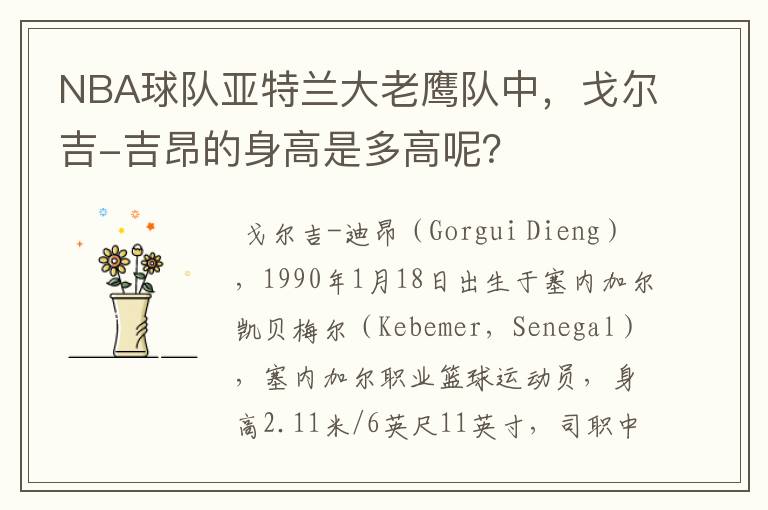 NBA球队亚特兰大老鹰队中,戈尔吉-吉昂的身高是多高呢?
