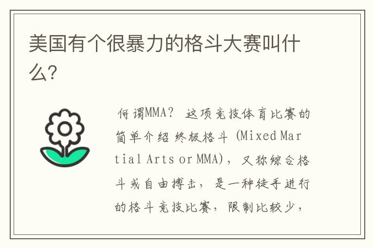 美国有个很暴力的格斗大赛叫什么?