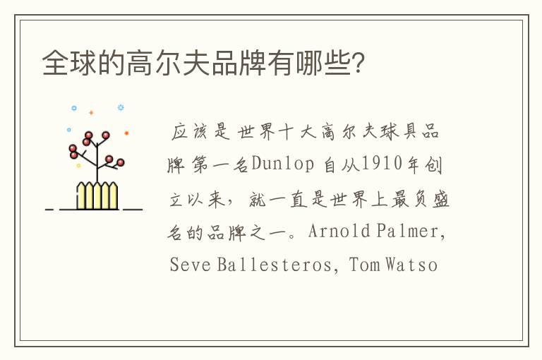 全球的高尔夫品牌有哪些?