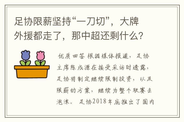 足协限薪坚持“一刀切”,大牌外援都走了,那中超还剩什么?