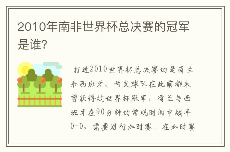 2010年南非世界杯总决赛的冠军是谁?