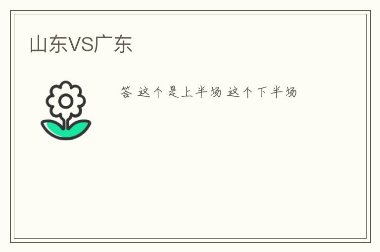 山东VS广东