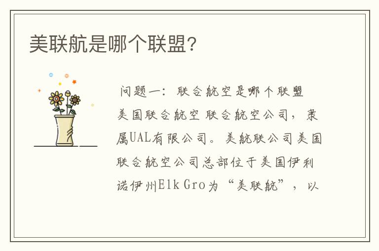 美联航是哪个联盟?