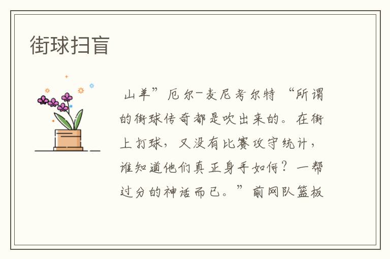 街球扫盲