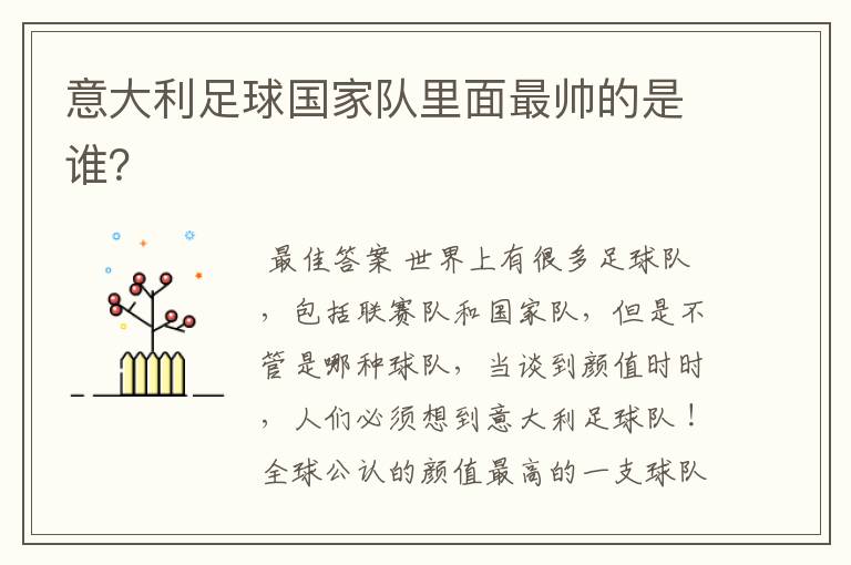 意大利足球国家队里面最帅的是谁?