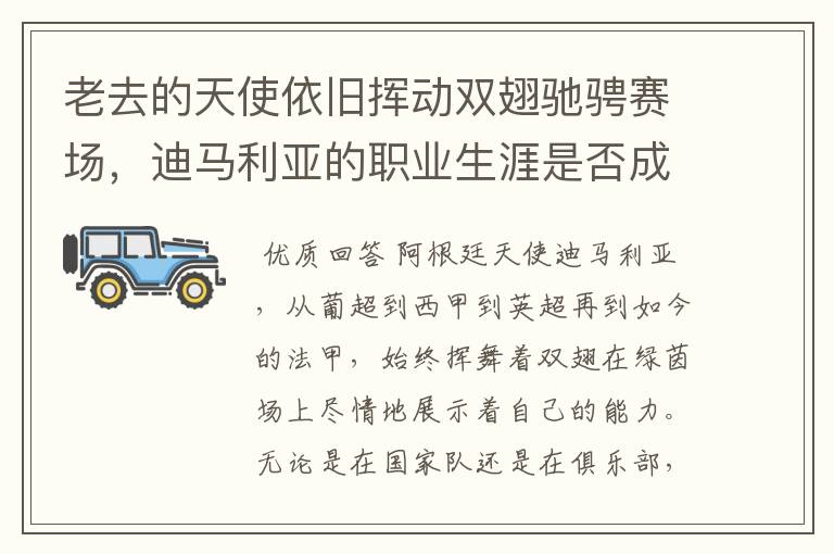 老去的天使依旧挥动双翅驰骋赛场,迪马利亚的职业生涯是否成功?