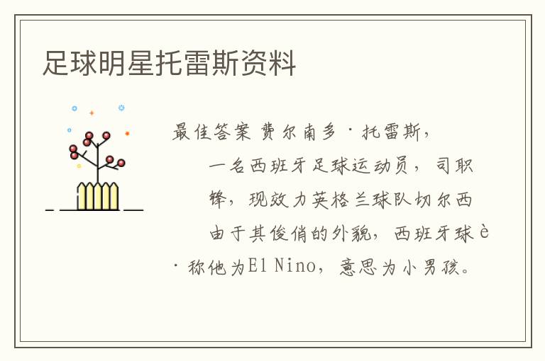 足球明星托雷斯资料