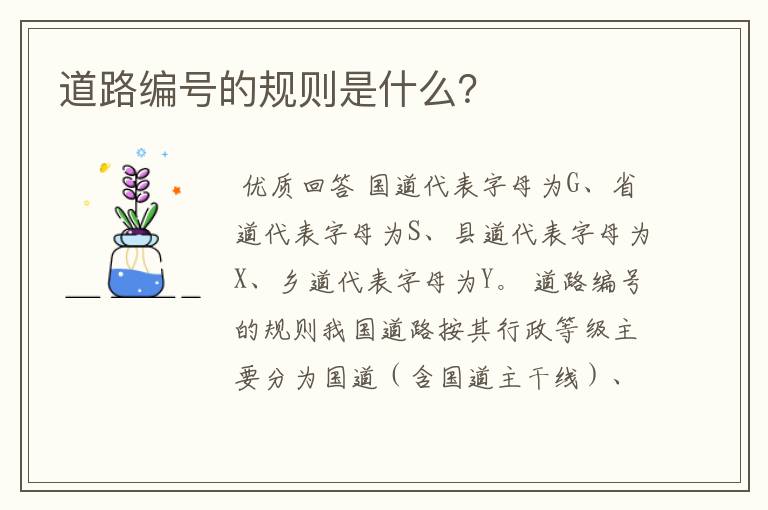 道路编号的规则是什么?