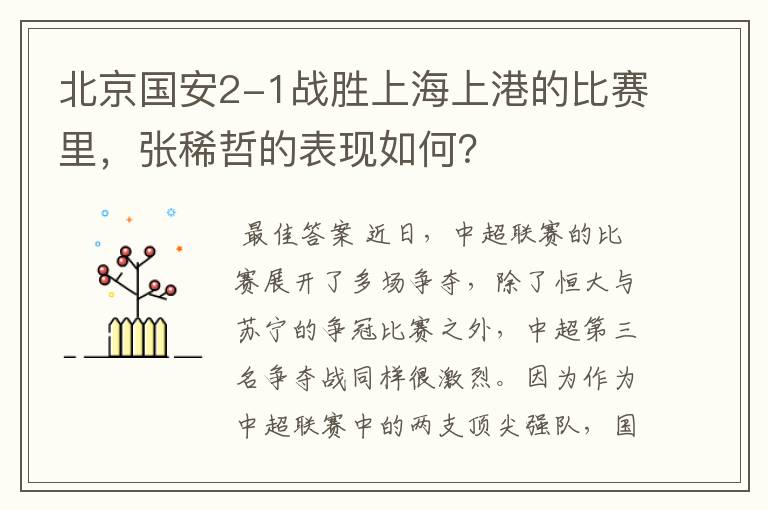 北京国安2-1战胜上海上港的比赛里,张稀哲的表现如何?