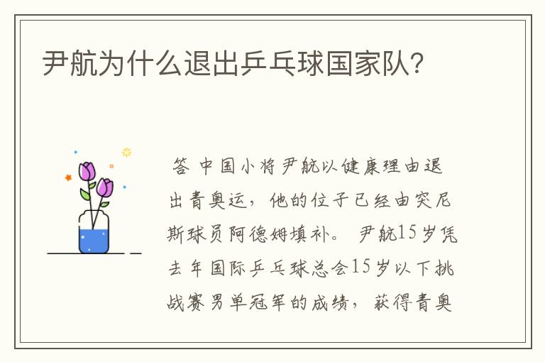 尹航为什么退出乒乓球国家队?