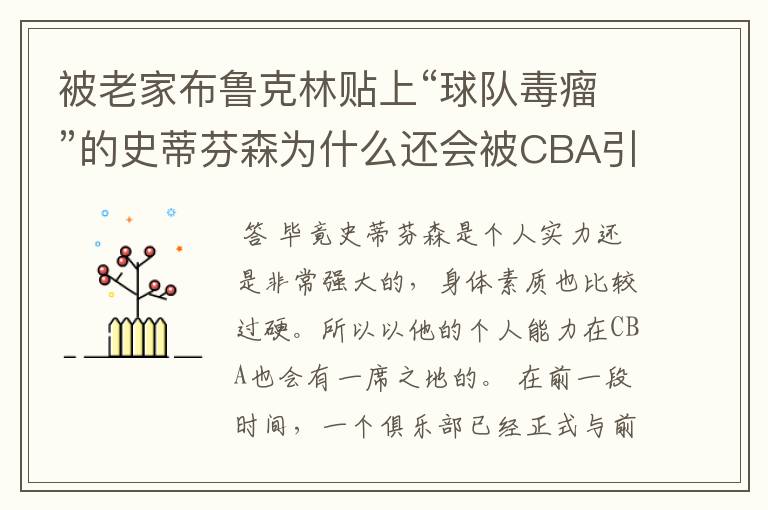 被老家布鲁克林贴上“球队毒瘤”的史蒂芬森为什么还会被CBA引进?