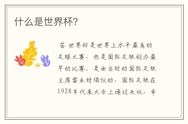 什么是世界杯?