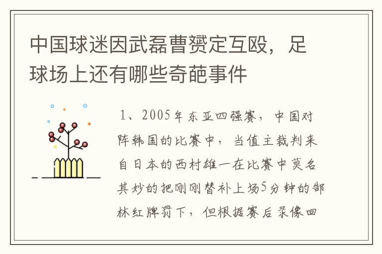 中国球迷因武磊曹赟定互殴,足球场上还有哪些奇葩事件