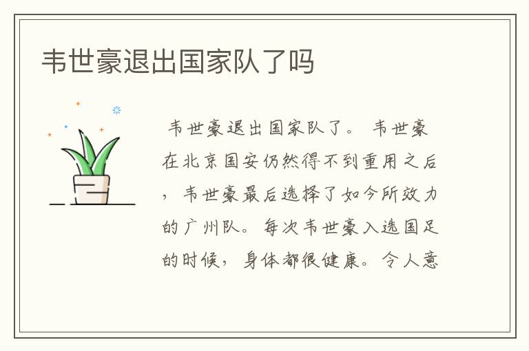 韦世豪退出国家队了吗