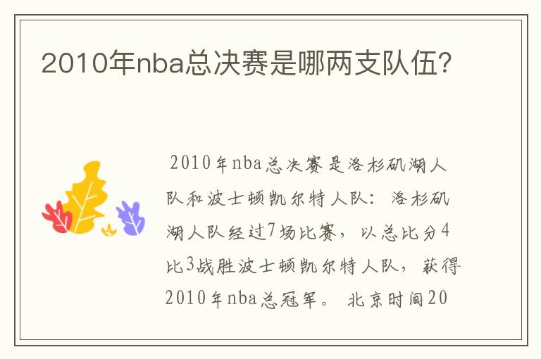 2010年nba总决赛是哪两支队伍?