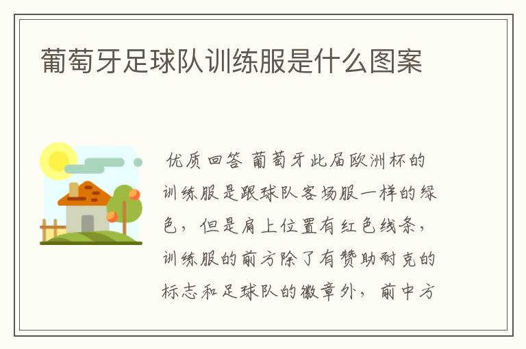 葡萄牙足球队训练服是什么图案