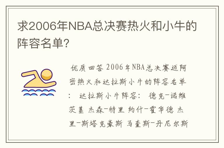 求2006年NBA总决赛热火和小牛的阵容名单?