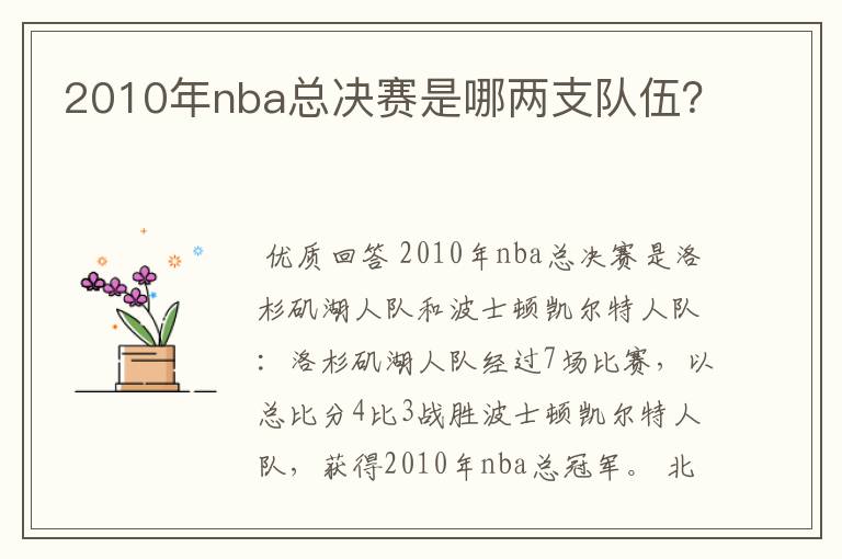 2010年nba总决赛是哪两支队伍?