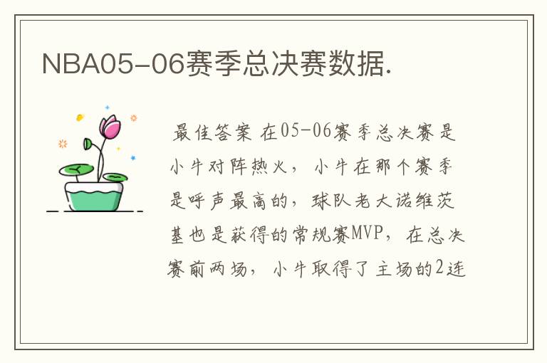 NBA05-06赛季总决赛数据.