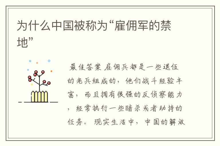 为什么中国被称为“雇佣军的禁地”